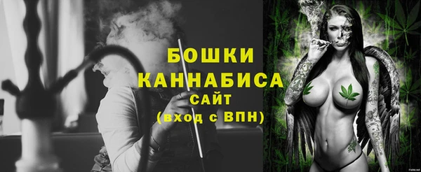 дживик Арсеньев