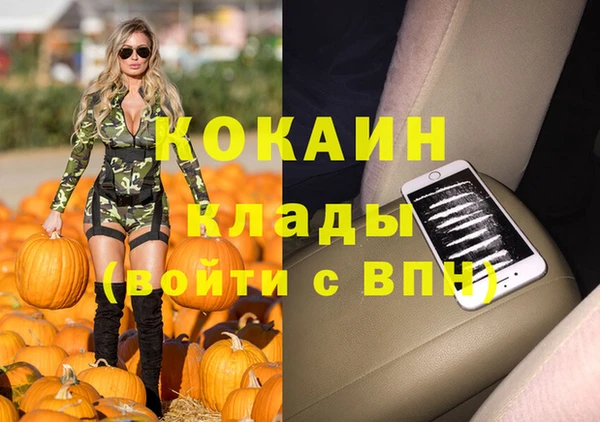 крисы Аркадак