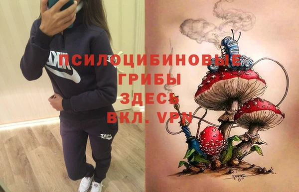 дживик Арсеньев