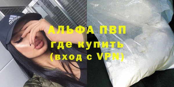 дживик Арсеньев