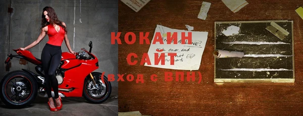 крисы Аркадак